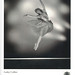 Anthony Collier Photo 22