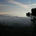 Devin Hill Photo 11
