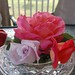 Suzanne Rose Photo 44