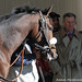 Michael Barbaro Photo 28