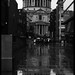 Paul Wetter Photo 16