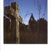 Margaret Land Photo 31