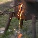 Michael Ebeling Photo 13