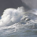 Boyd Miller Photo 18
