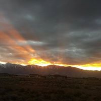 Debra Mccarran Photo 2