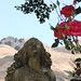 Rose Arroyo Photo 4