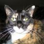 Sherry Riddle Photo 24