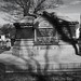 William Mason Photo 49