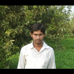 Saqib Bajwa Photo 15