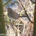 Robin Barton Photo 13