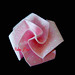Edna Rosa Photo 32