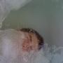 Daniel Fell Photo 31