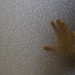 Donna Levi Photo 16