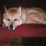 Karen James Photo 44