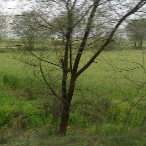 Ahsan Ahmed Photo 14