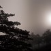 Richard Plante Photo 17