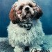 Cynthia Massey Photo 35
