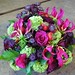 Paula Berry Photo 15