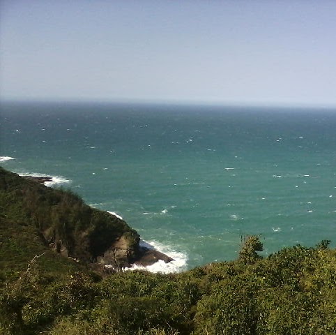 Silva Lobo Photo 10