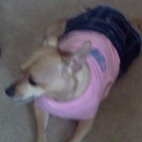 Debra Bowling Photo 3