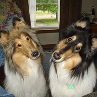 Tracey Miller Photo 40