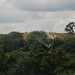 Alan Krause Photo 22