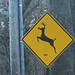 Don Rudolph Photo 12