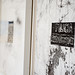 Patricia Adkins Photo 37
