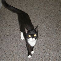 Linda Altice Photo 2
