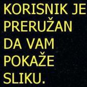 Elvis Kurtovic Photo 5
