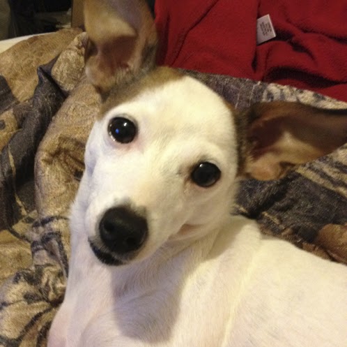 Molly Bob Photo 20