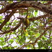 Bruce Green Photo 13
