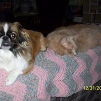 Doris Peck Photo 22