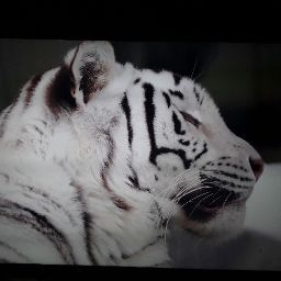 Jamie Waters Photo 26