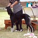 Deborah Ratliff Photo 9