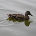 Donald Holliday Photo 4