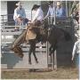 Michael Craine Photo 10