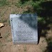 George Moran Photo 38