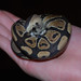 Jillian Peters Photo 5