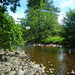 Glen Lee Photo 27