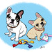 Colleen Butler Photo 34