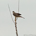 Kenneth Sharp Photo 18