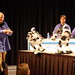 Donald Becker Photo 17