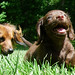 Heidi Long Photo 16