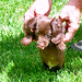 Heidi Long Photo 14