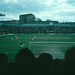 Nelson Macdonald Photo 10