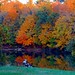 Donald Bittner Photo 9