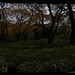 Sara Field Photo 4
