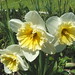 Joann Wilkinson Photo 13