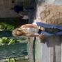 Susan Burk Photo 19